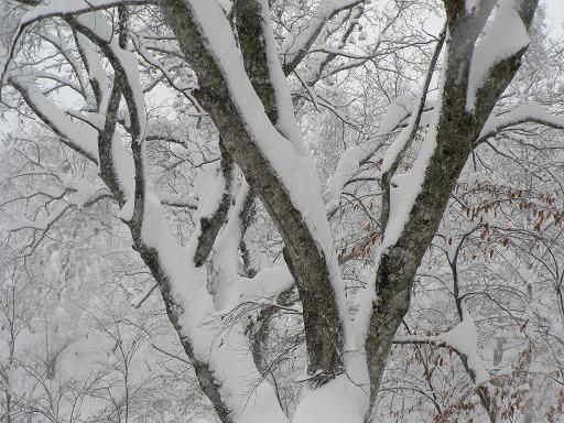 f0118332_22133744.jpg