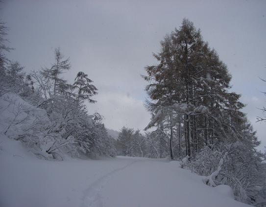 f0118332_22213813.jpg