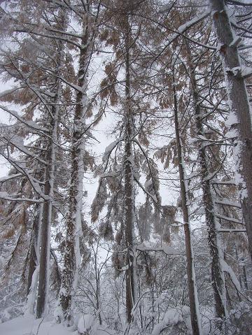 f0118332_22222072.jpg