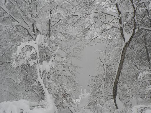 f0118332_227237.jpg
