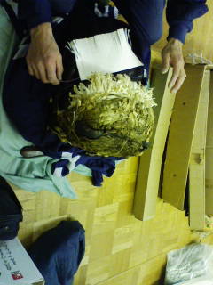 f0147037_2158086.jpg