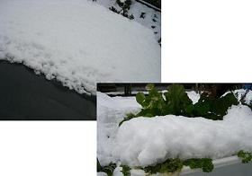 c0135739_16484389.jpg