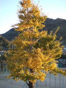 a0054240_17453992.jpg