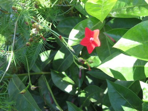 e0018143_252529.jpg