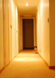 f0153345_1932767.jpg