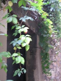 c0098050_1936519.jpg