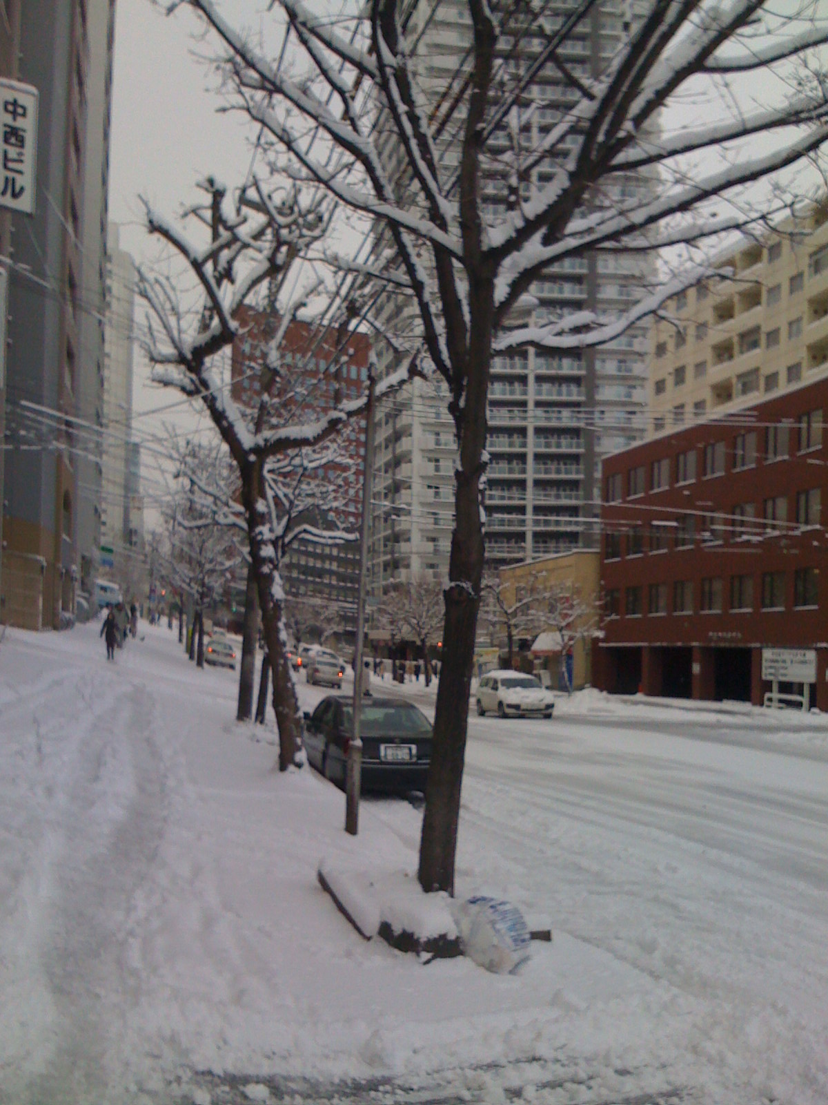 c0139253_19352888.jpg