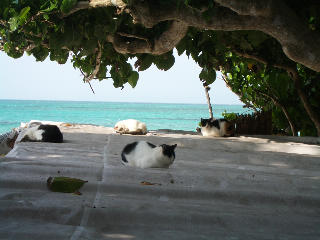 f0045956_027728.jpg
