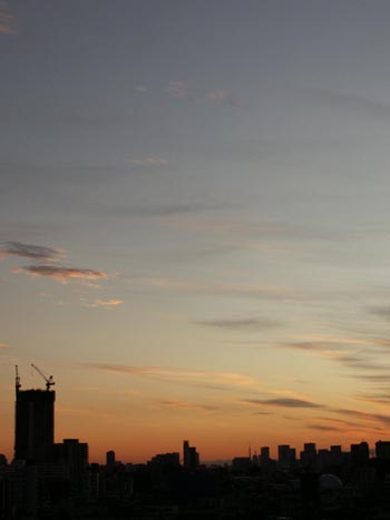 d0150659_1123686.jpg