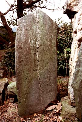 e0018762_212981.jpg