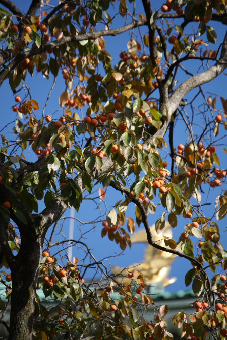 f0148762_20385951.jpg