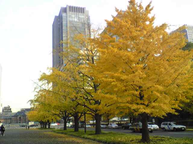 c0158464_1348175.jpg