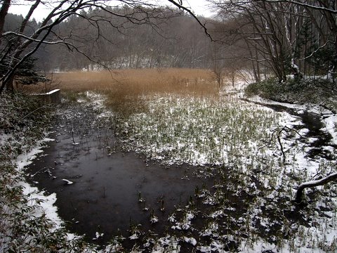 b0130166_12364594.jpg