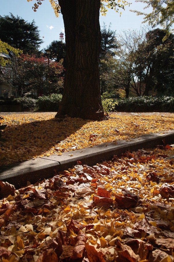 b0084270_2133759.jpg