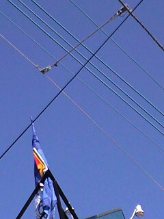 d0109373_17554542.jpg
