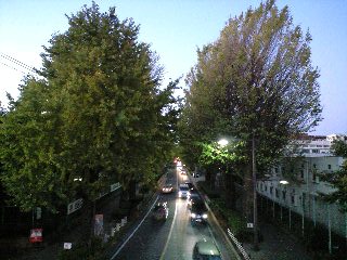 d0109373_18102286.jpg