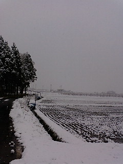 e0158773_0274765.jpg