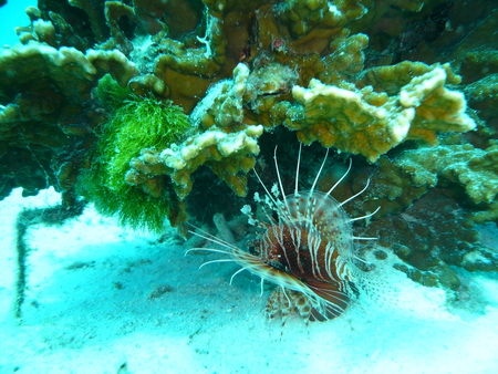 a0002177_2233228.jpg