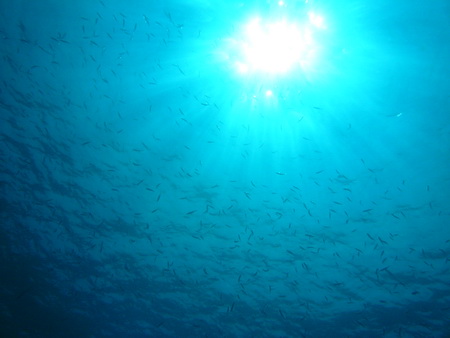 a0002177_223413100.jpg
