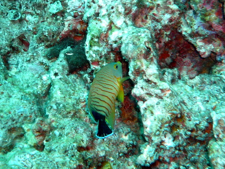 a0002177_2234422.jpg