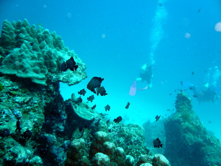 a0002177_22351761.jpg