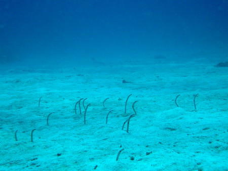 a0002177_22354556.jpg