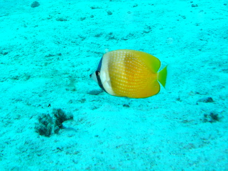 a0002177_2236286.jpg