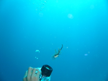 a0002177_2240041.jpg
