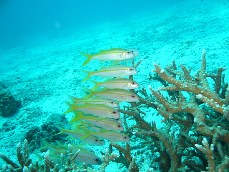 a0002177_22403241.jpg