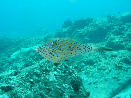 a0002177_22413160.jpg