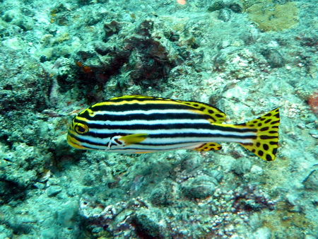 a0002177_22422100.jpg