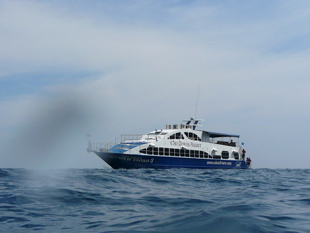 a0002177_751098.jpg