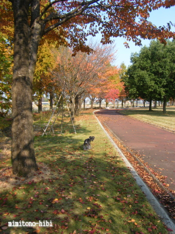 f0155381_2022164.jpg