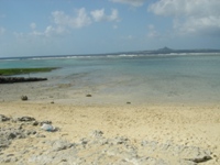 f0153383_18562418.jpg