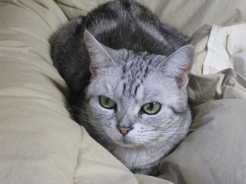 c0132387_042245.jpg