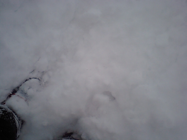 f0087787_14324363.jpg