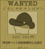 f0194591_20374048.gif