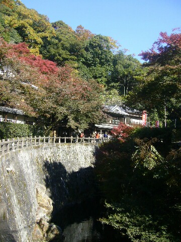 f0076796_18293100.jpg