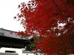 d0090001_23363315.jpg