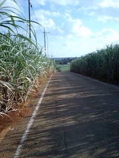 f0032403_222203.jpg