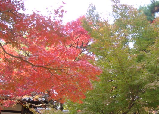 b0139906_234261.jpg