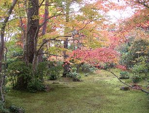 c0149408_21401014.jpg