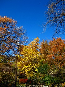 e0012808_0475099.jpg