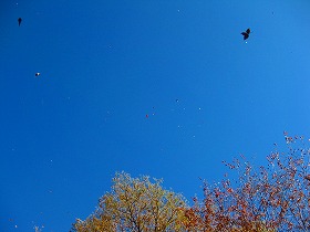 e0012808_049249.jpg
