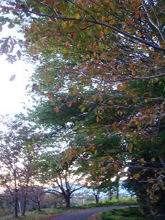 f0152412_532945.jpg