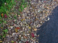 f0152412_554252.jpg