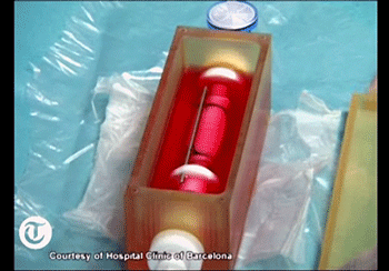 a0055913_8374146.gif