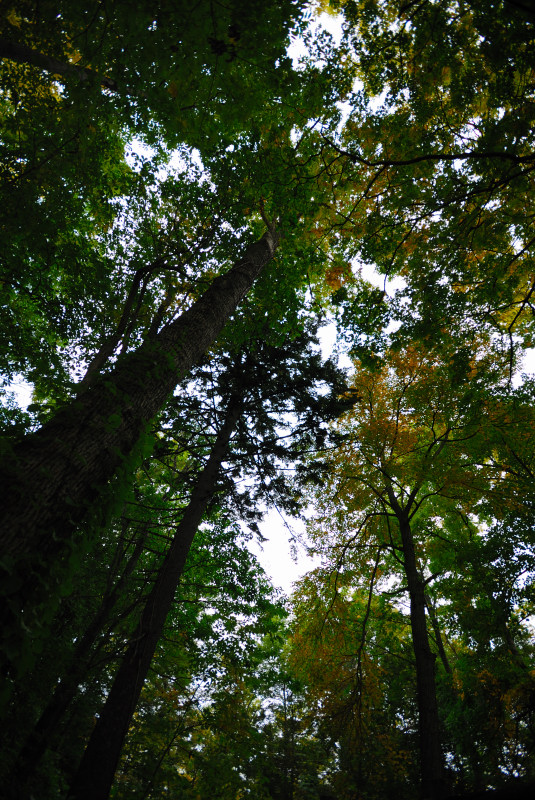 b0157018_8345440.jpg