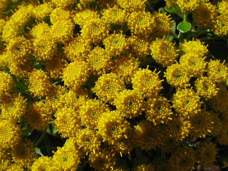 a0004023_11312147.jpg