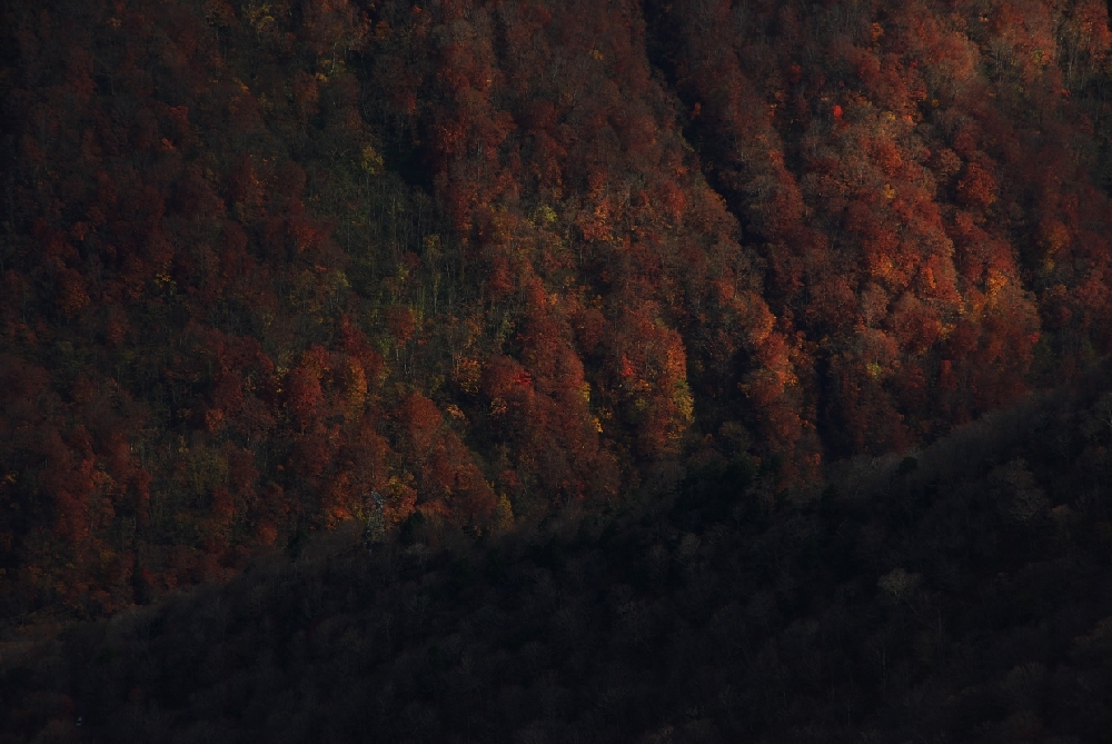 b0062024_23255625.jpg